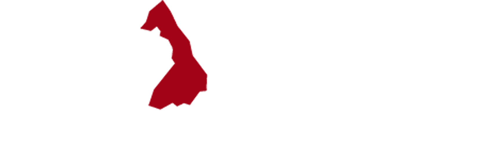 site internet logo tsp